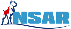 NSAR